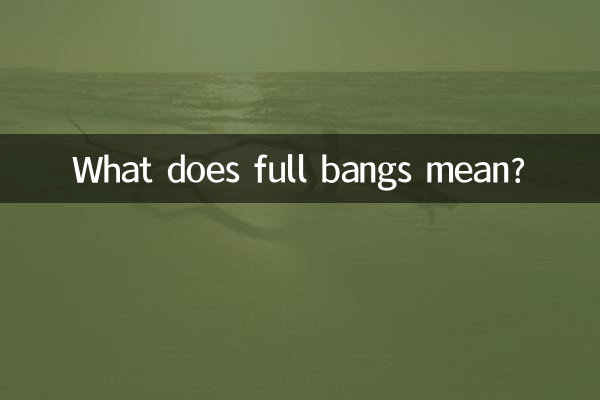 풀뱅은 무슨 뜻인가요?