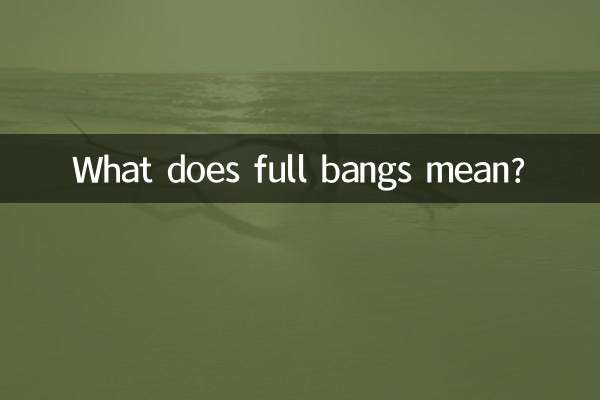 풀뱅은 무슨 뜻인가요?