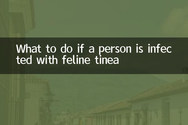 Что делать, если человек заразился кошачьим опоясывающим лишаем