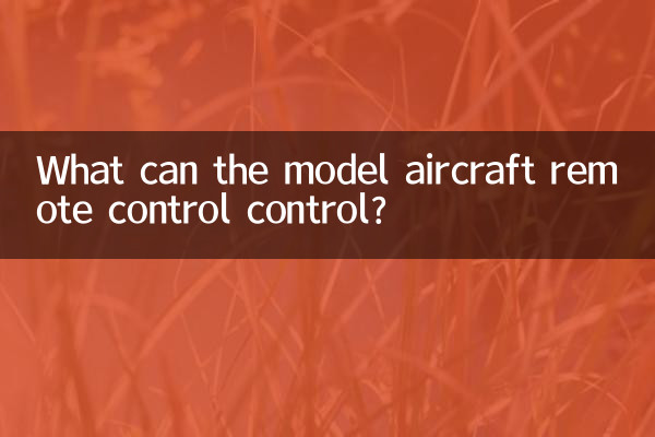 Чем может управлять пульт дистанционного управления моделью самолета?