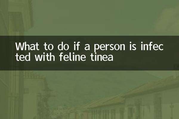 اگر فردی به کچلی گربه مبتلا شد چه باید کرد؟