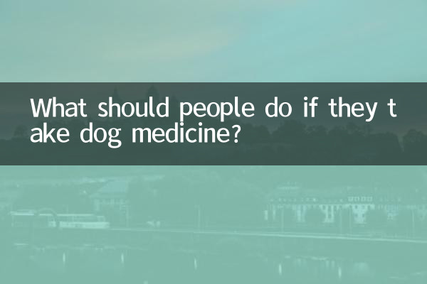 Que doivent faire les gens s’ils prennent des médicaments pour chiens ?