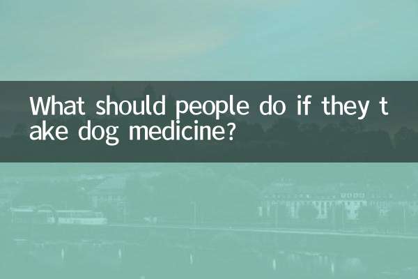 Что делать людям, если они принимают лекарства для собак?