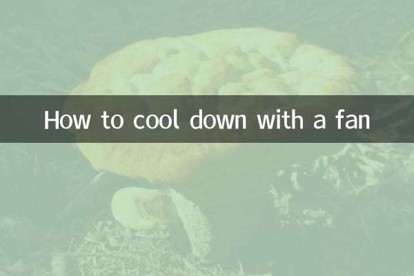 Comment se rafraîchir avec un ventilateur