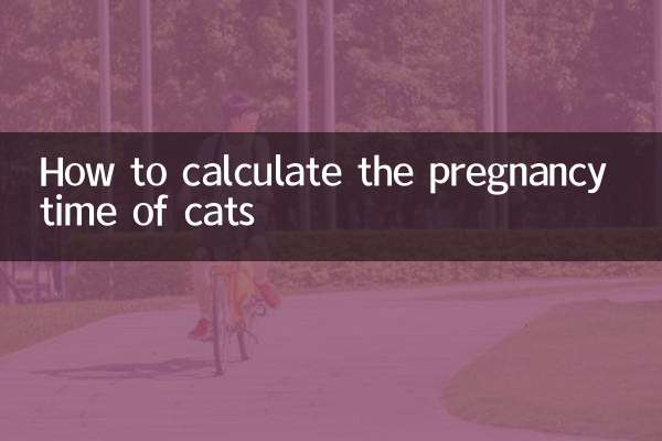 Comment calculer le temps de gestation des chats
