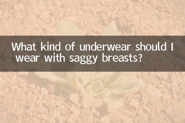 垂れた胸にはどんな下着を着るべきですか？