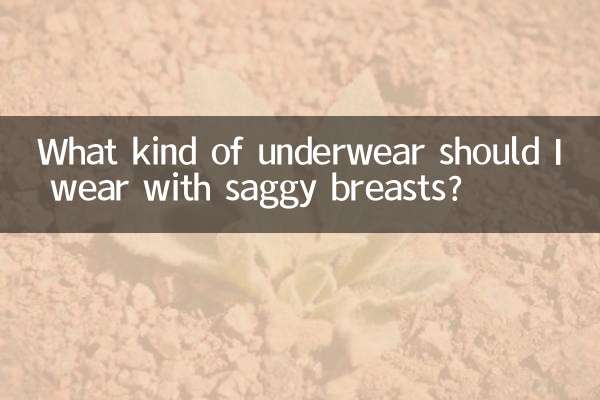 垂れた胸にはどんな下着を着るべきですか？