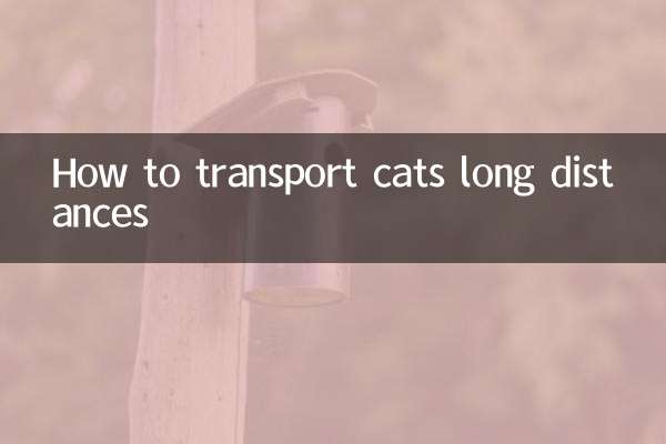 貓怎麼長途運輸