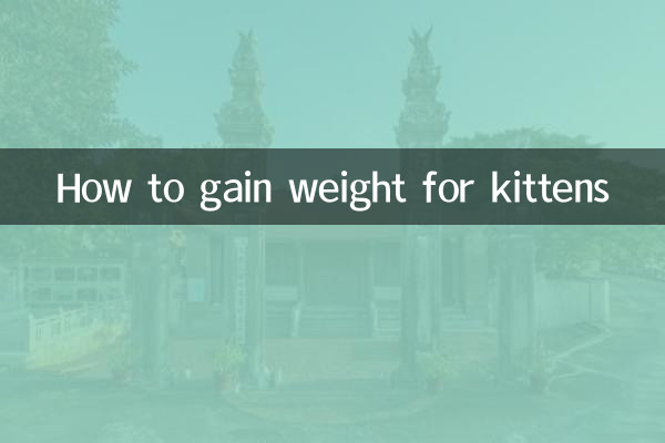怎麼給小貓增肥