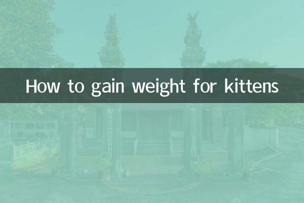 বিড়ালছানাদের জন্য কীভাবে ওজন বাড়ানো যায়