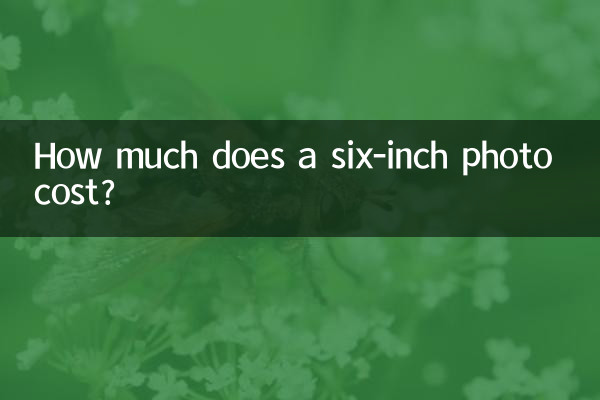 छह इंच की फोटो की कीमत कितनी है?