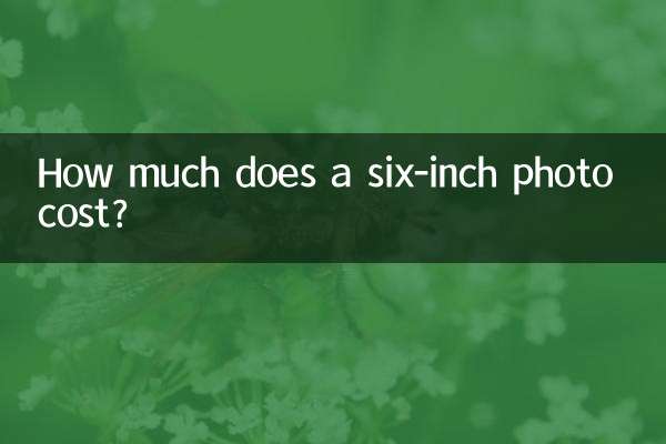 6인치 사진 한 장의 가격은 얼마입니까?