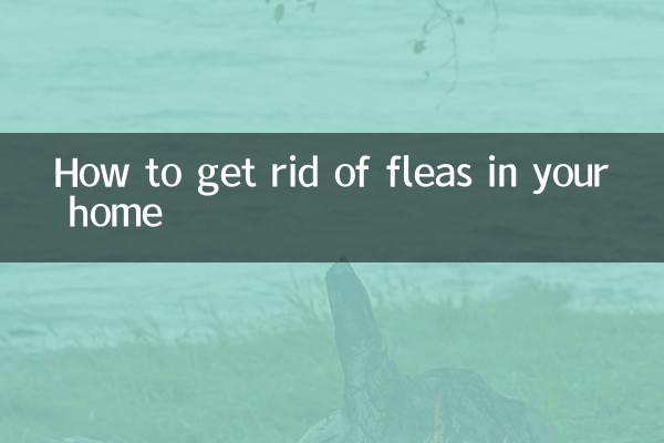 چگونه از شر کک در خانه خلاص شویم