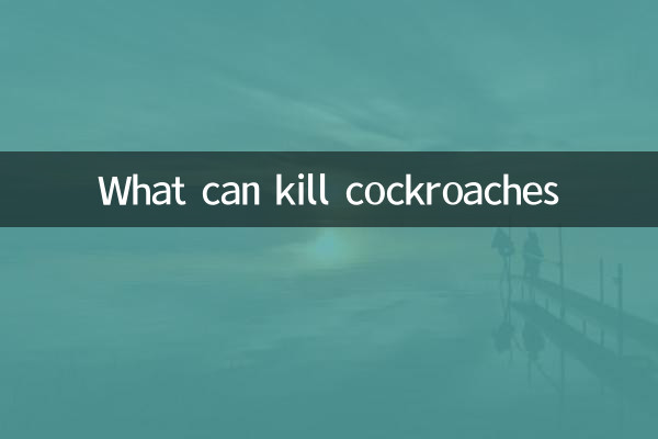 ما الذي يمكن أن يقتل الصراصير