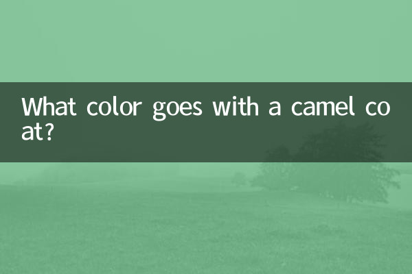 با کت شتری چه رنگی می آید؟