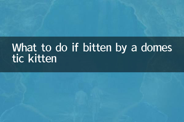 একটি গার্হস্থ্য বিড়ালছানা দ্বারা কামড় হলে কি করবেন