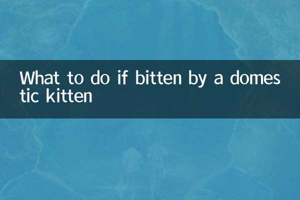 Что делать, если укусил домашний котенок