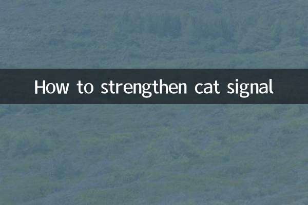 Como fortalecer o sinal de gato