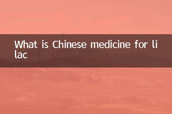丁香是什么中药