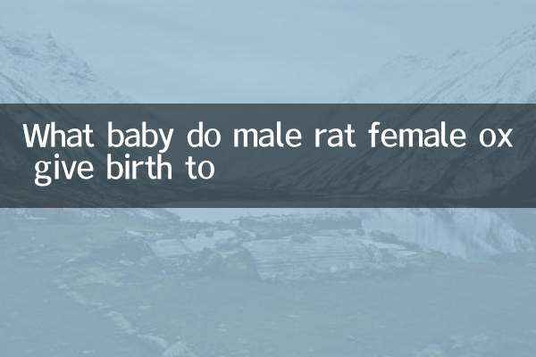 À quel genre de bébés un rat mâle et une vache femelle donneront-ils naissance ?