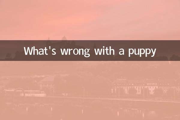 子犬はどうしたの？