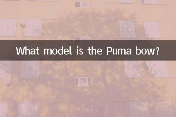 Quel est le modèle de l'arc Puma ?