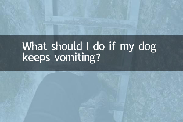 What should I do if my dog ​​keeps vomiting?
