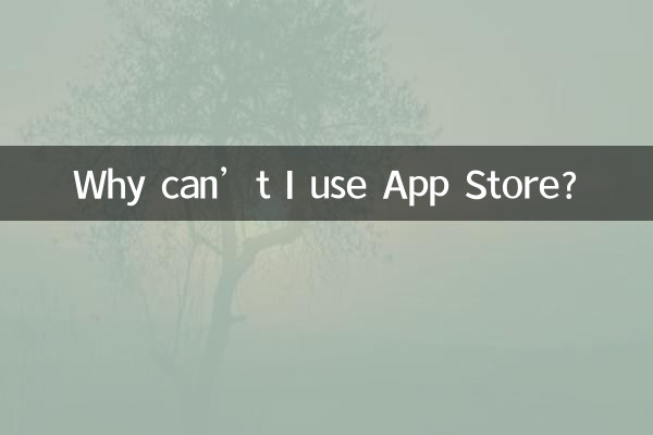 Why can’t I use App Store?