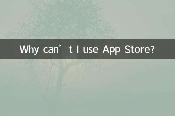 왜 App Store를 사용할 수 없나요?