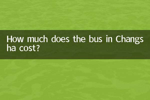 How much does the bus in Changsha cost?