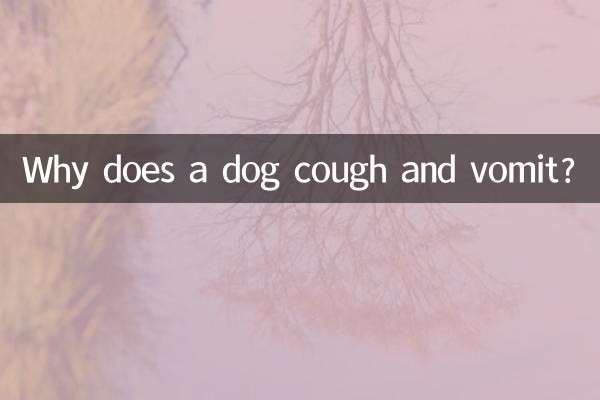 Warum hustet und erbricht ein Hund?