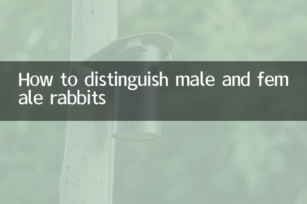 兔的公母怎麼分