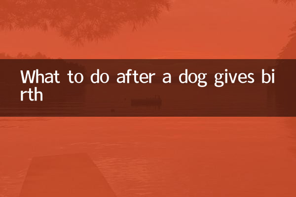 Cosa fare dopo il parto di un cane