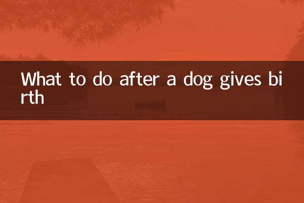 犬が出産したらどうするか