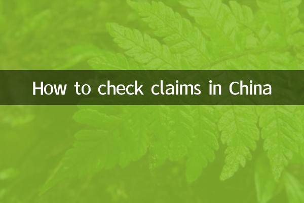 中国での請求を確認する方法