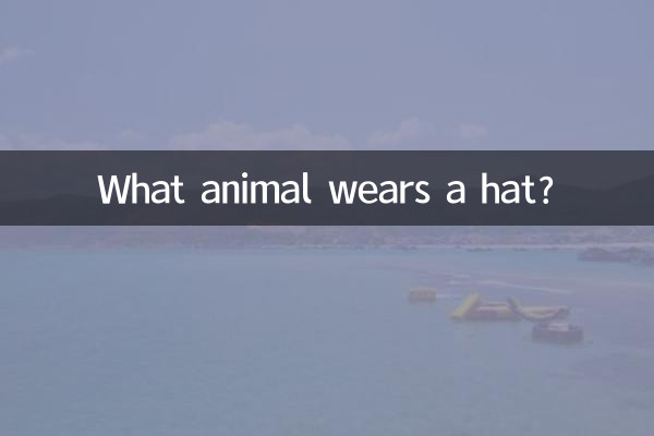什麼動物戴帽