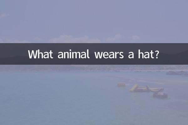 什麼動物戴帽