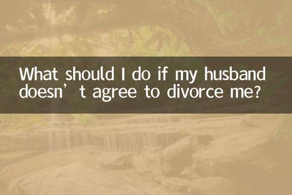 O que devo fazer se meu marido não concordar em se divorciar de mim?