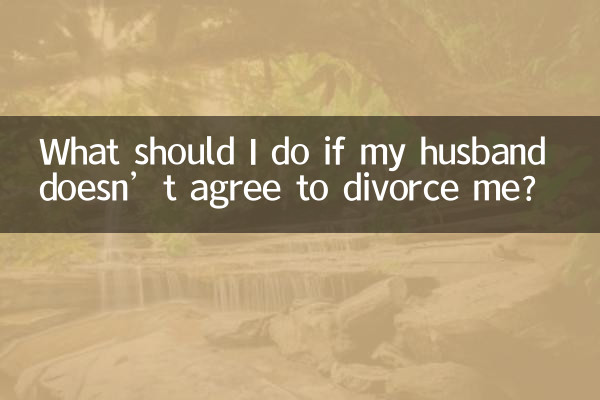 ¿Qué debo hacer si mi marido no acepta divorciarse de mí?