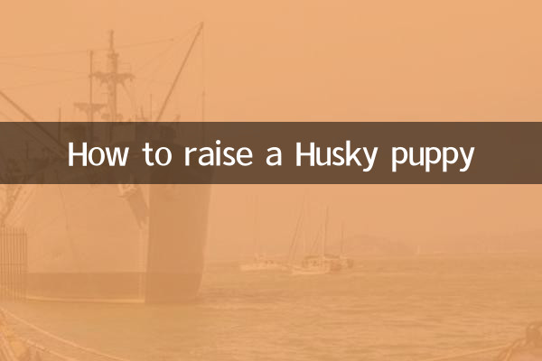 हस्की पिल्ला कैसे पालें