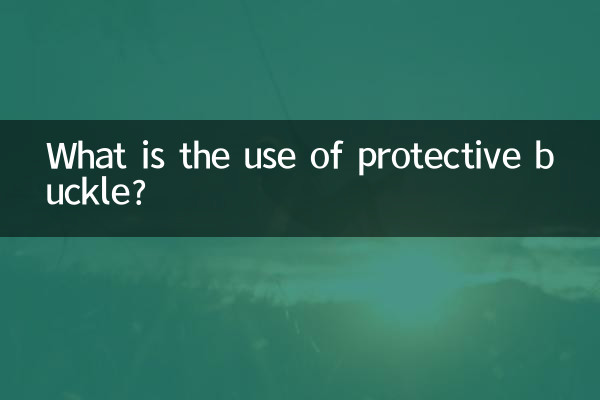 保護バックルの用途は何ですか?
