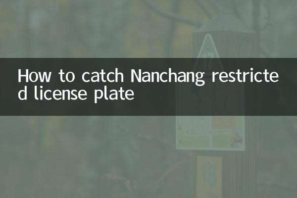 How to catch Nanchang restricted license plate