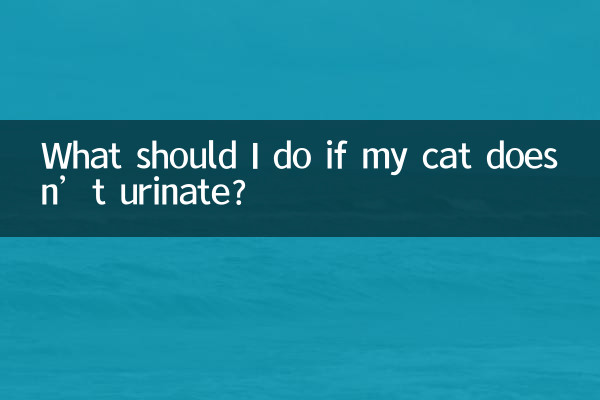 अगर मेरी बिल्ली पेशाब नहीं करती तो मुझे क्या करना चाहिए?