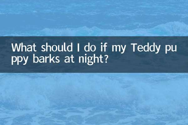 泰迪幼犬晚上叫怎么办