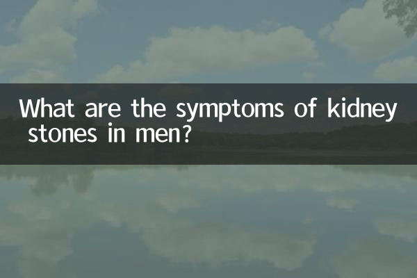 남성의 신장 결석 증상은 무엇입니까?