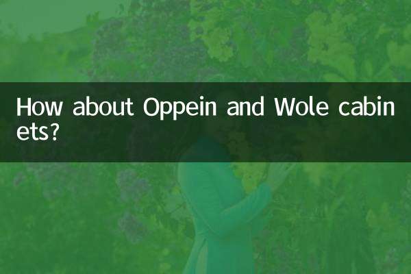 ماذا عن خزانات Oppein وWole؟