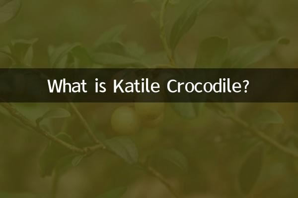 What is Katile Crocodile?