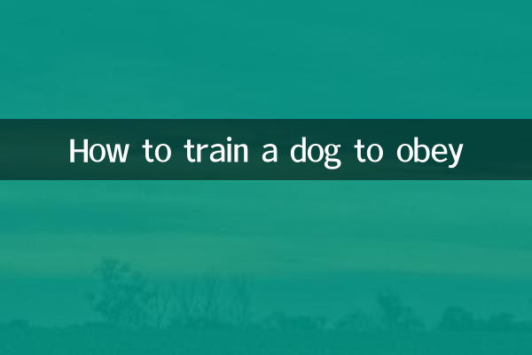 Wie man einem Hund beibringt, zu gehorchen