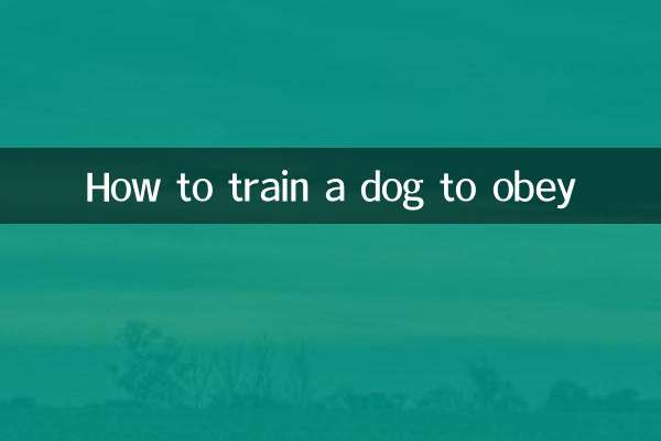 Как научить собаку подчиняться