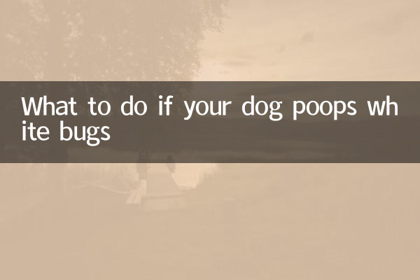 اگر آپ کا کتا سفید کیڑے کو پھاڑ دیتا ہے تو کیا کریں